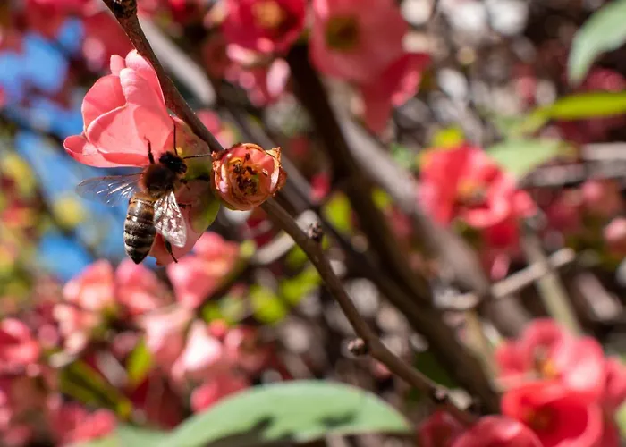 Epidami 호텔 Kashari